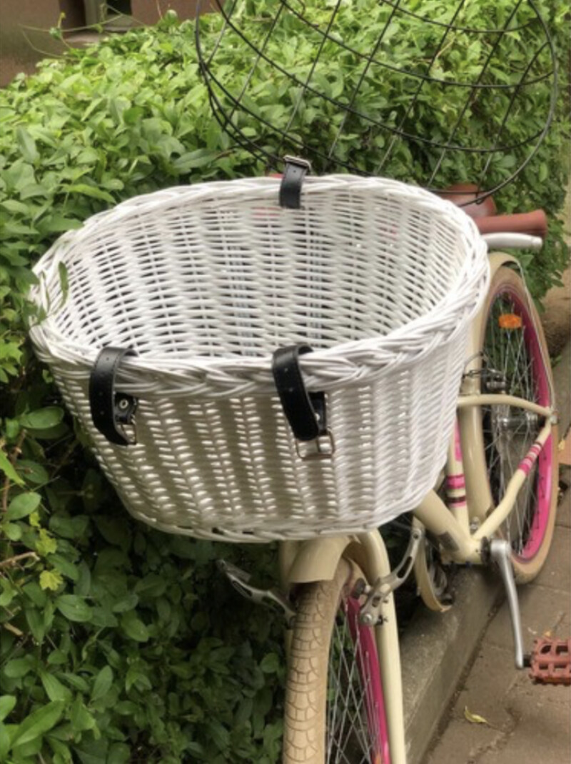 Pet bicycle basket